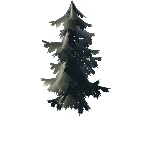 Pine_Tree_03