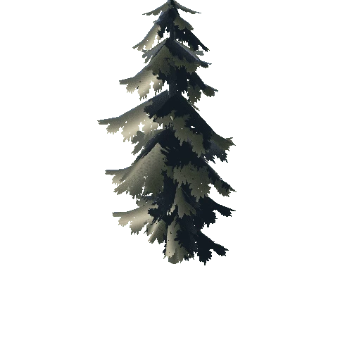 Pine_Tree_04