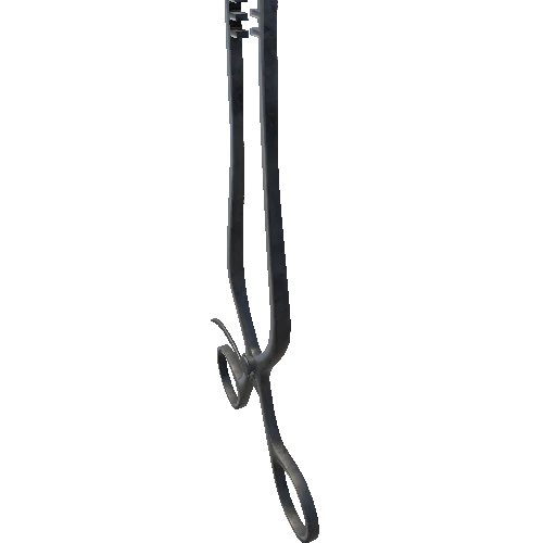 SM_forceps_01