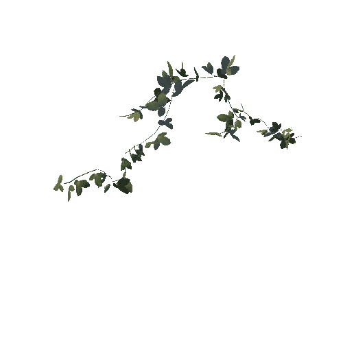 Foliage_CreeperWeeds01