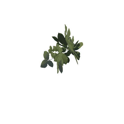 Foliage_Weeds01