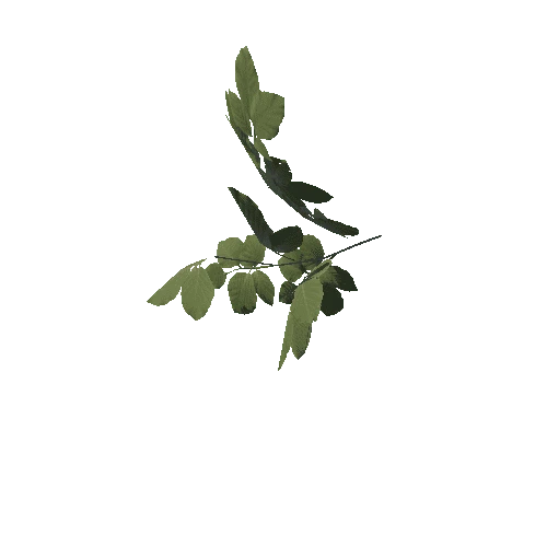 Foliage_Weeds03