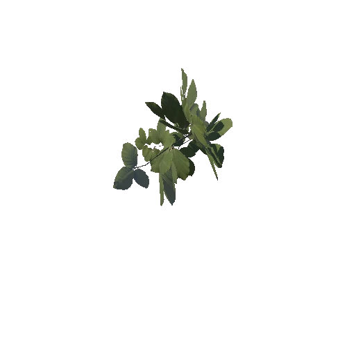 Foliage_Weeds01