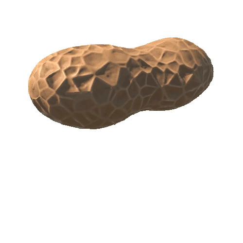 Peanut_hpoly_02