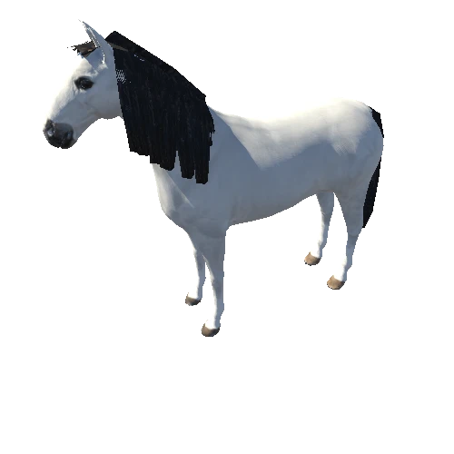 horse_rig