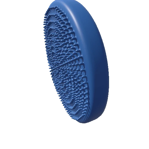 Qmed_Balance_Disc_Blue