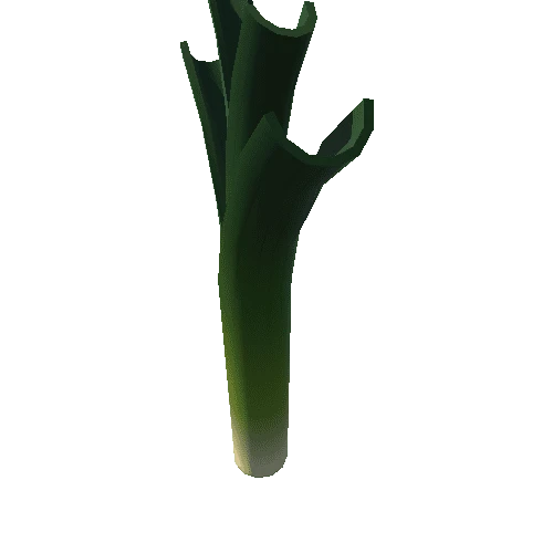 Leek