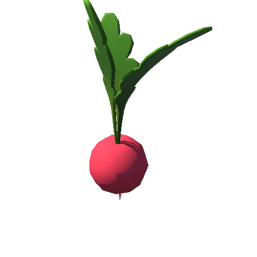 Radish