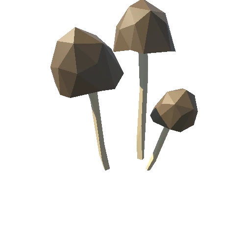 Mushroom_02