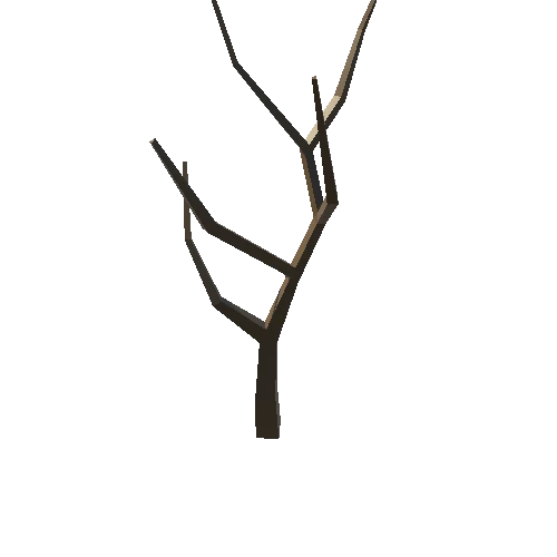 Tree_17