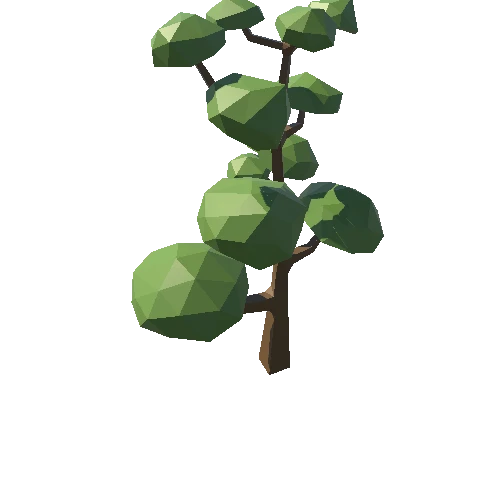 Tree_29