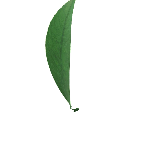 Lem-leaf