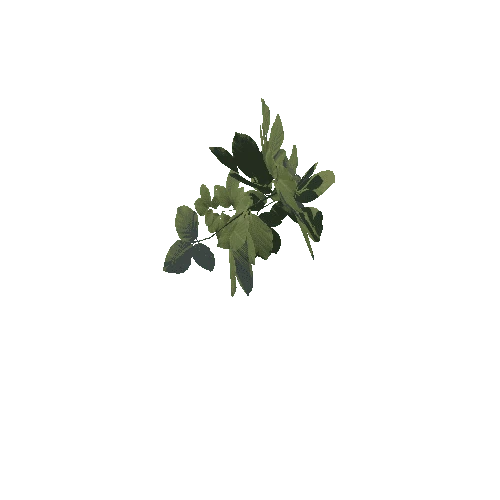 Foliage_Weeds01