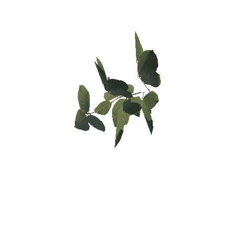 Foliage_Weeds02