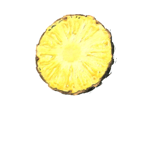 pineapple_slice_01