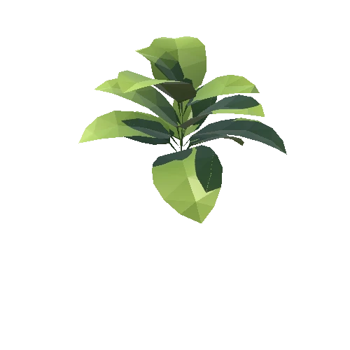 Plant_02