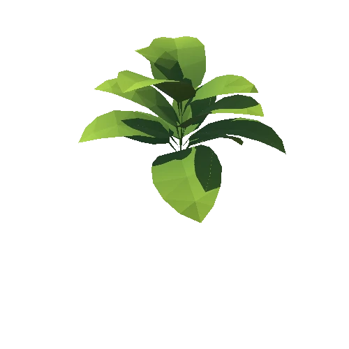 Plant_02