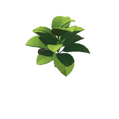 Plant_04