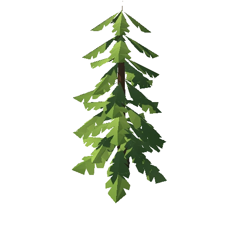 Tree_06