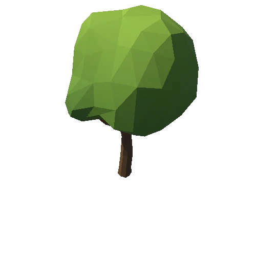 Tree_07