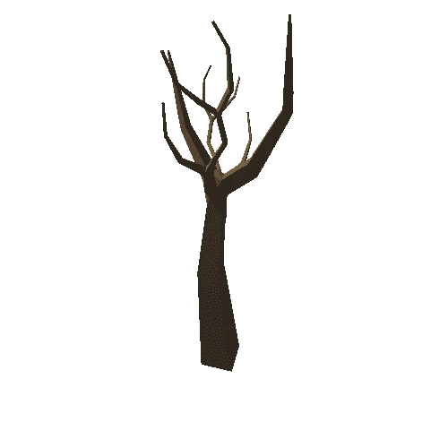 Tree_16