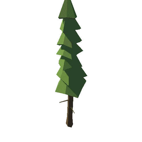 Tree_27