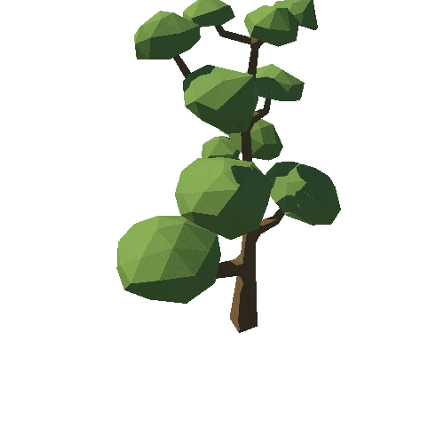 Tree_29