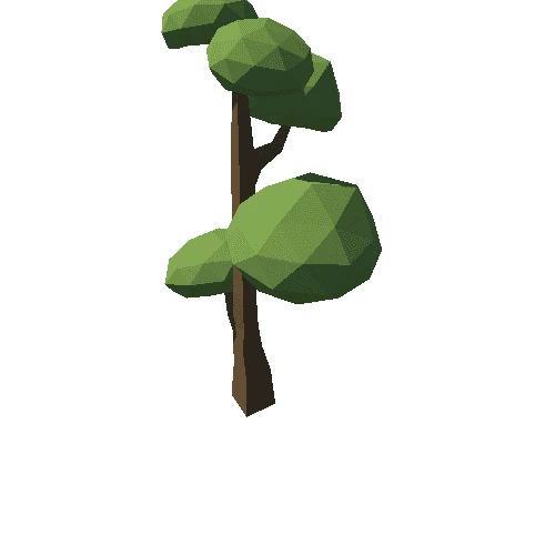 Tree_31