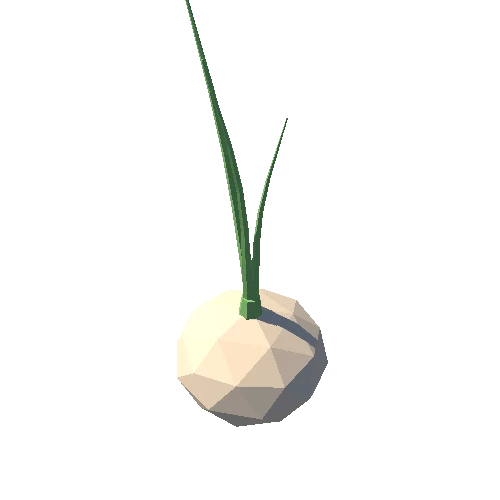 Onion