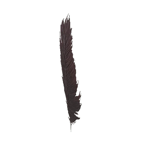 Feather_2