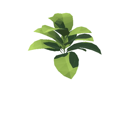 Plant_02