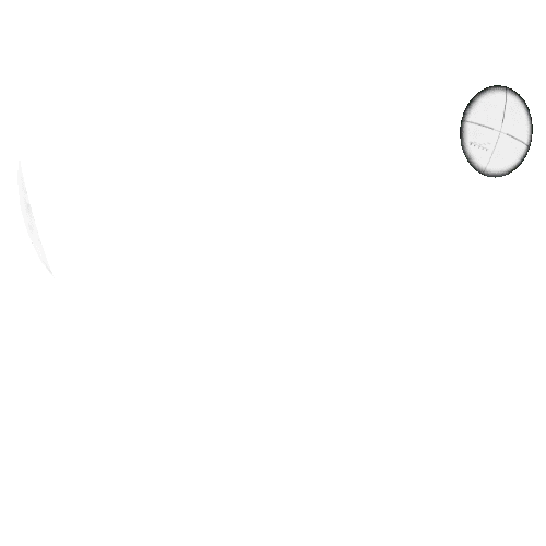 StandardScopeTransparent_1_2