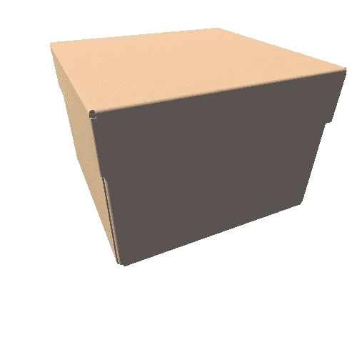 lid_and_try_cardboard_box_06