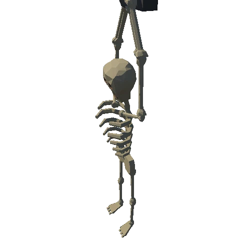 Skeleton_01