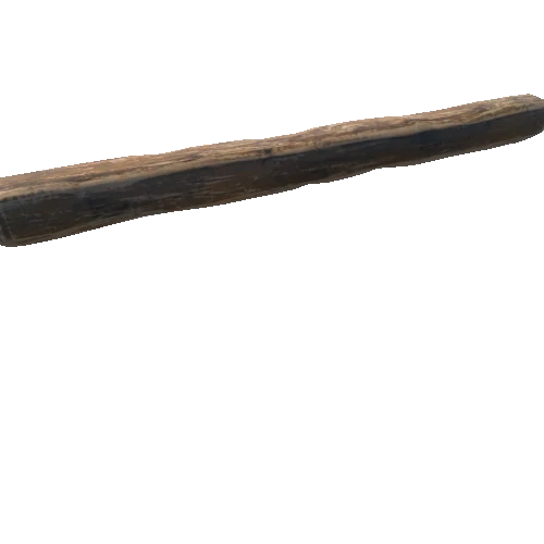 Plank_100_02