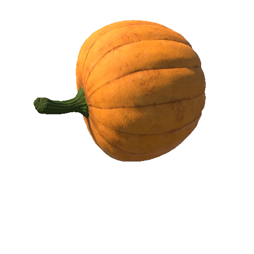 Large_pumpkin
