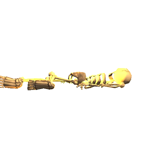 COMP_PROP_skeleton_dungeon_01