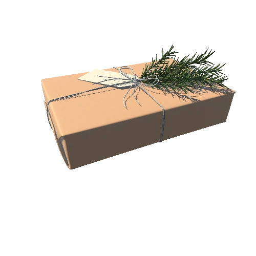 Christmas_gift_wrapped_05