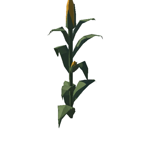 CornPlant_03