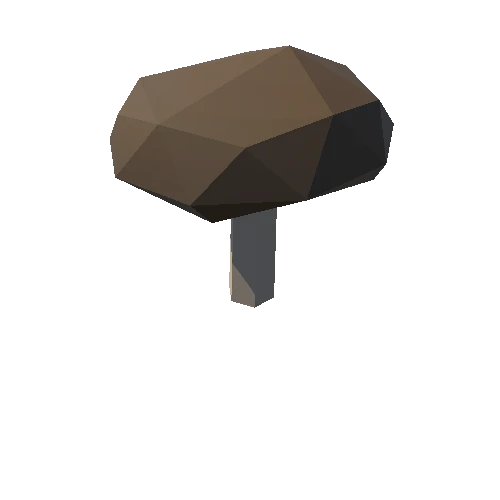 Mushroom_04