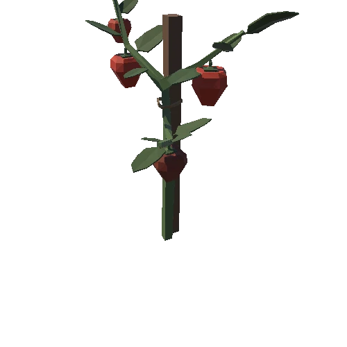 PepperPlant_01