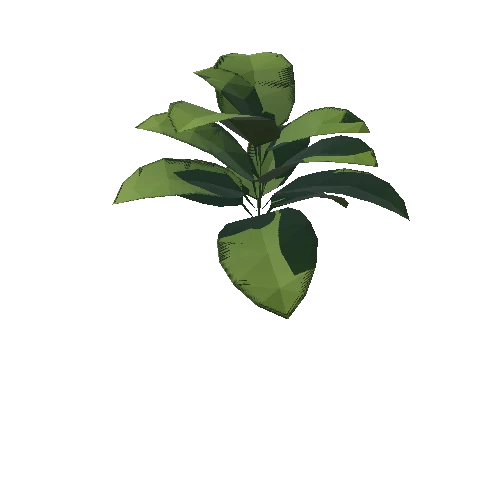 Plant_02