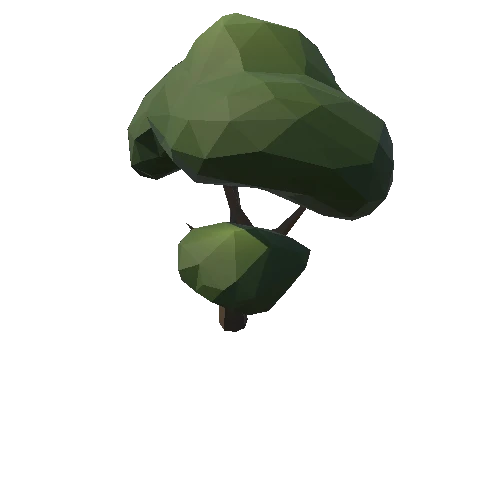 Tree_03