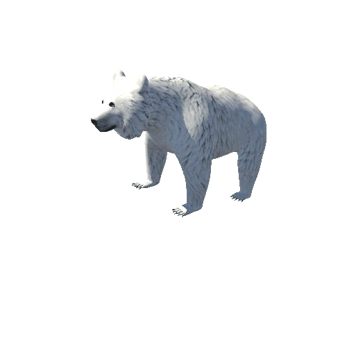 uploads_files_2716721_polarbear