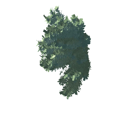 3DTree_Artemisia_californica_03