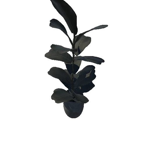 C001_LargePlant_01_SM