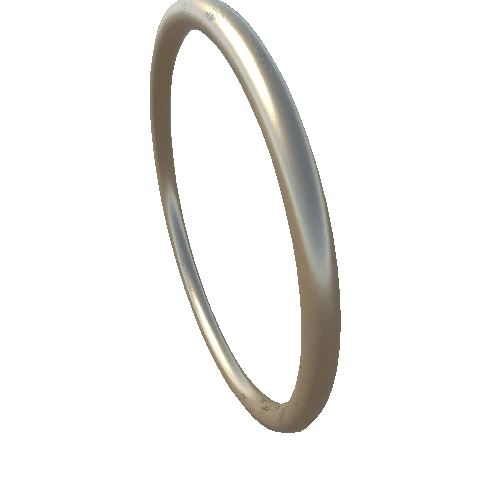 Ring_01