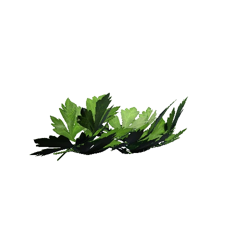 leaf_1_1