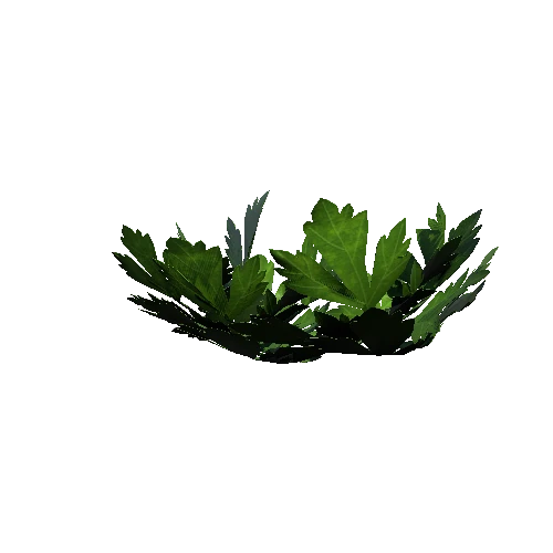 leaf_2_1