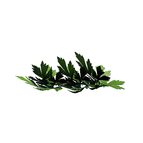 leaf_3_1